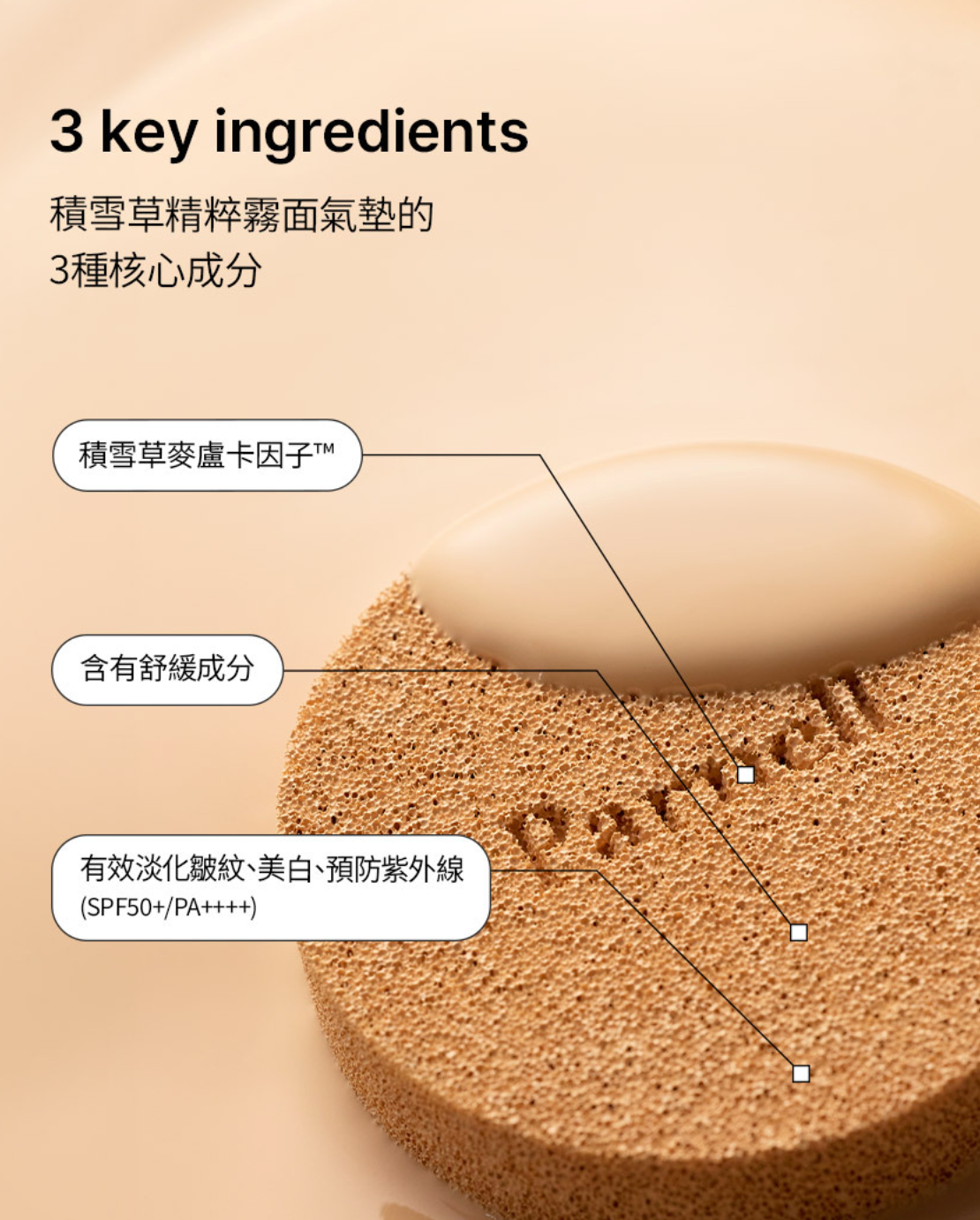 🌱 Parnell 積雪草精粹霧面氣墊✨