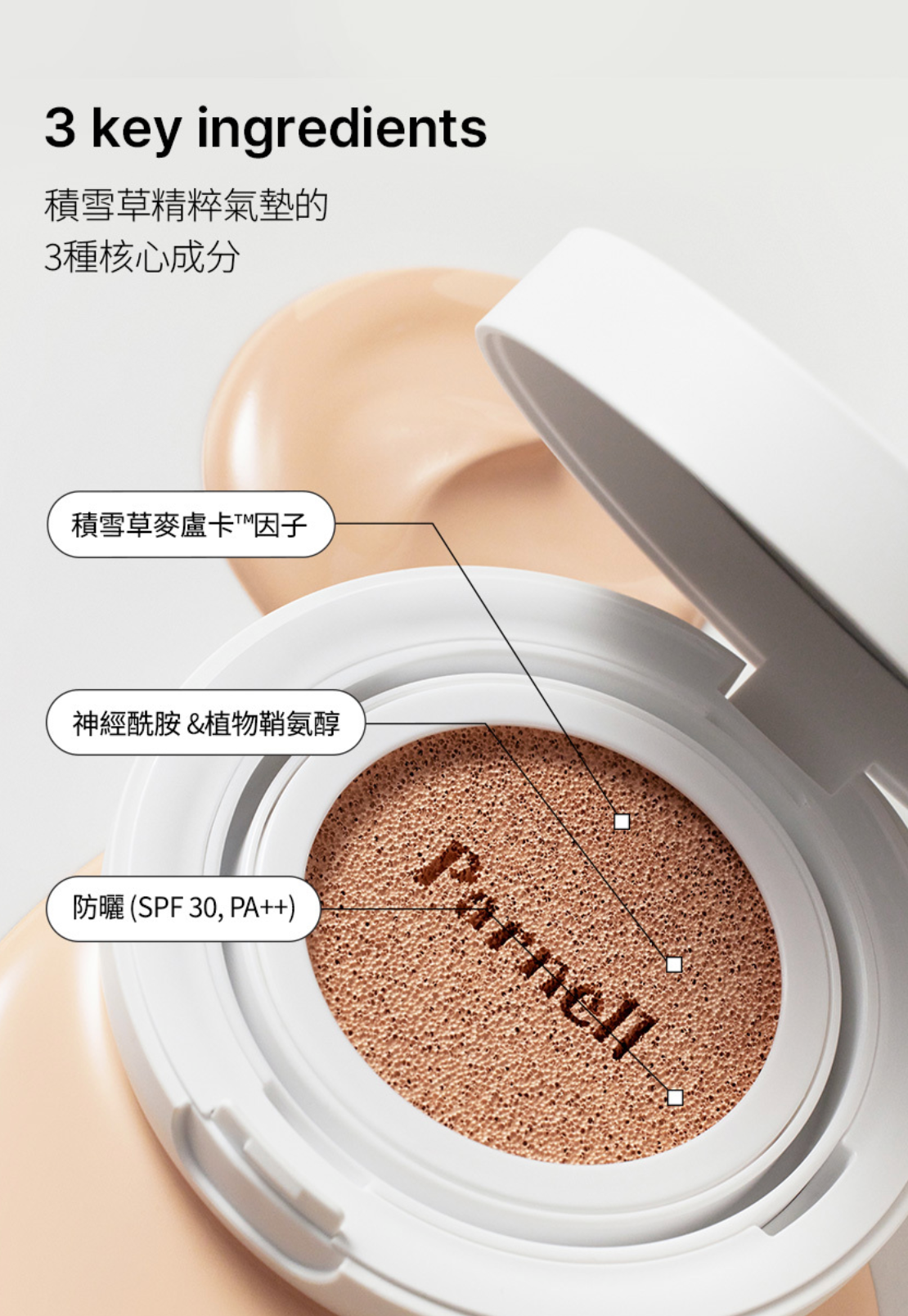 🌱 Parnell 積雪草精粹氣墊✨