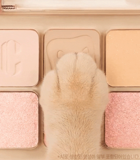 Clio 🐱 Pro Eye Palette Air 12色眼影盤✨貓貓限定版