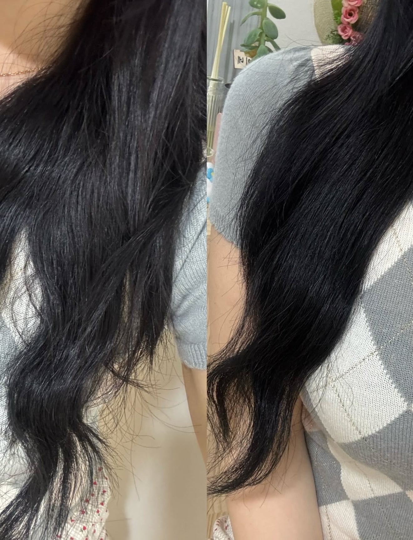 200ml+50ml|Hair+ x WiggleWiggle 🐻 高濃縮蛋白質頭髮修護噴霧
