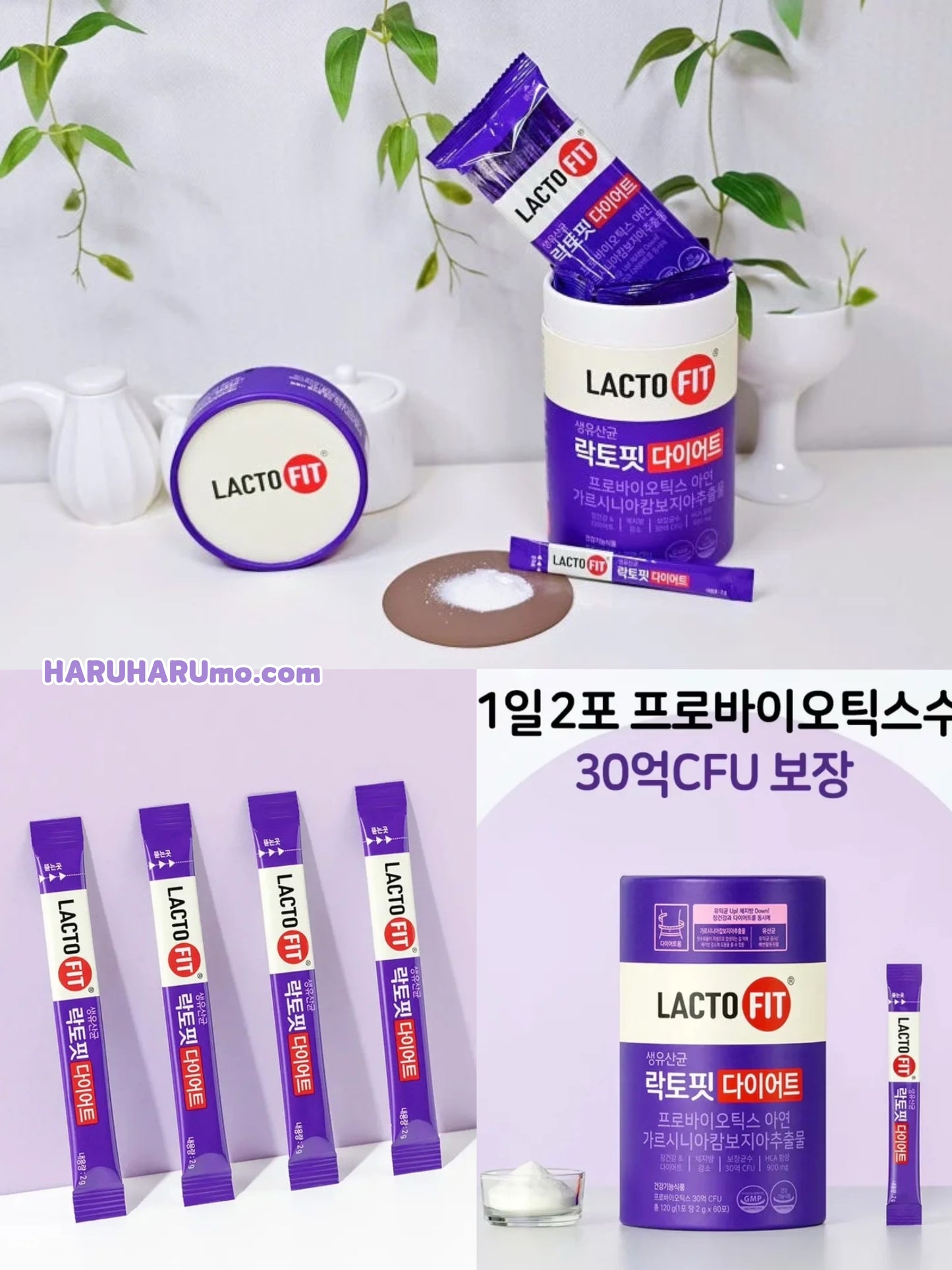 鐘根堂 LACTO‑FIT 💜 藤黃果纖型乳酸益生菌|最新加強 Diet 版✨