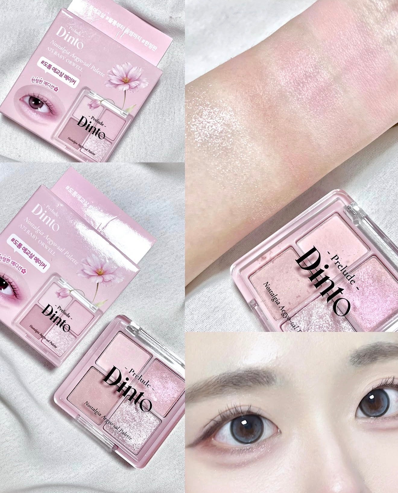Dinto 🌸 日系四色眼影|最新上市✨