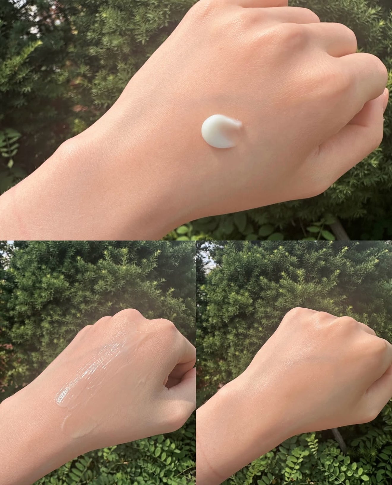 ABIB 🌿 魚腥草舒敏保濕面霜