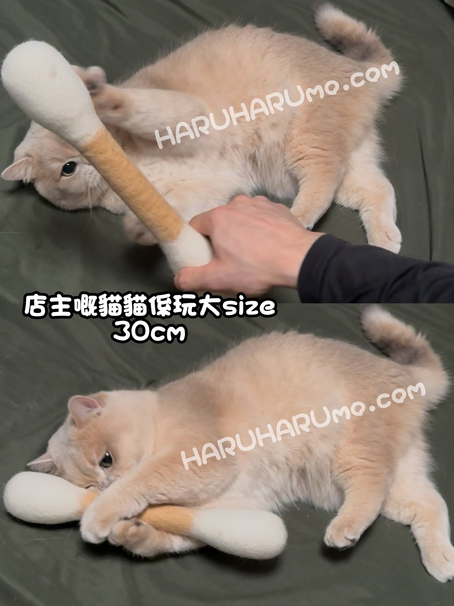 🪄Hue Plane ⭐️ 巨型羊毛棉花棒玩具 Wooly Catnip Swab