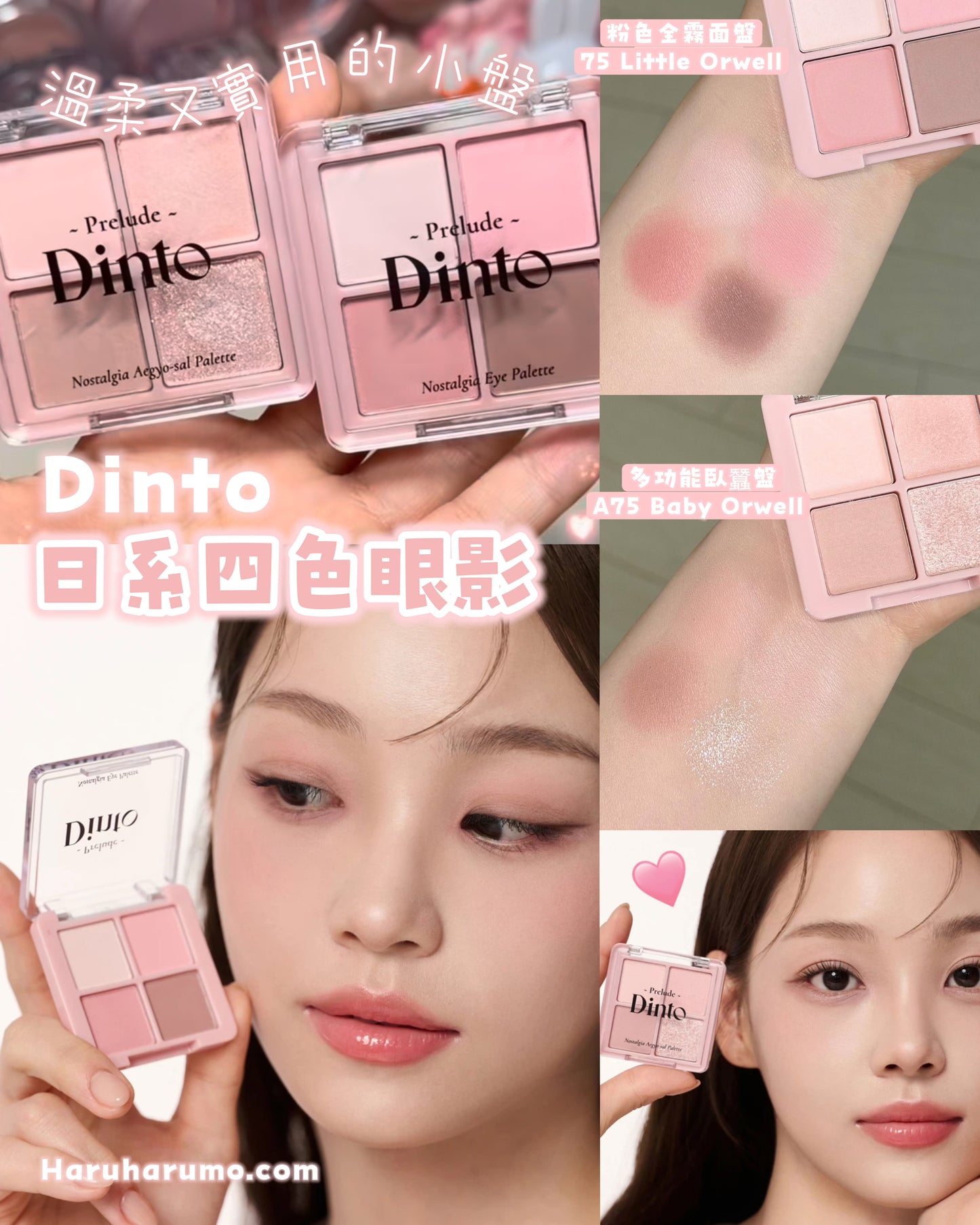 Dinto 🌸 日系四色眼影｜最新上市✨