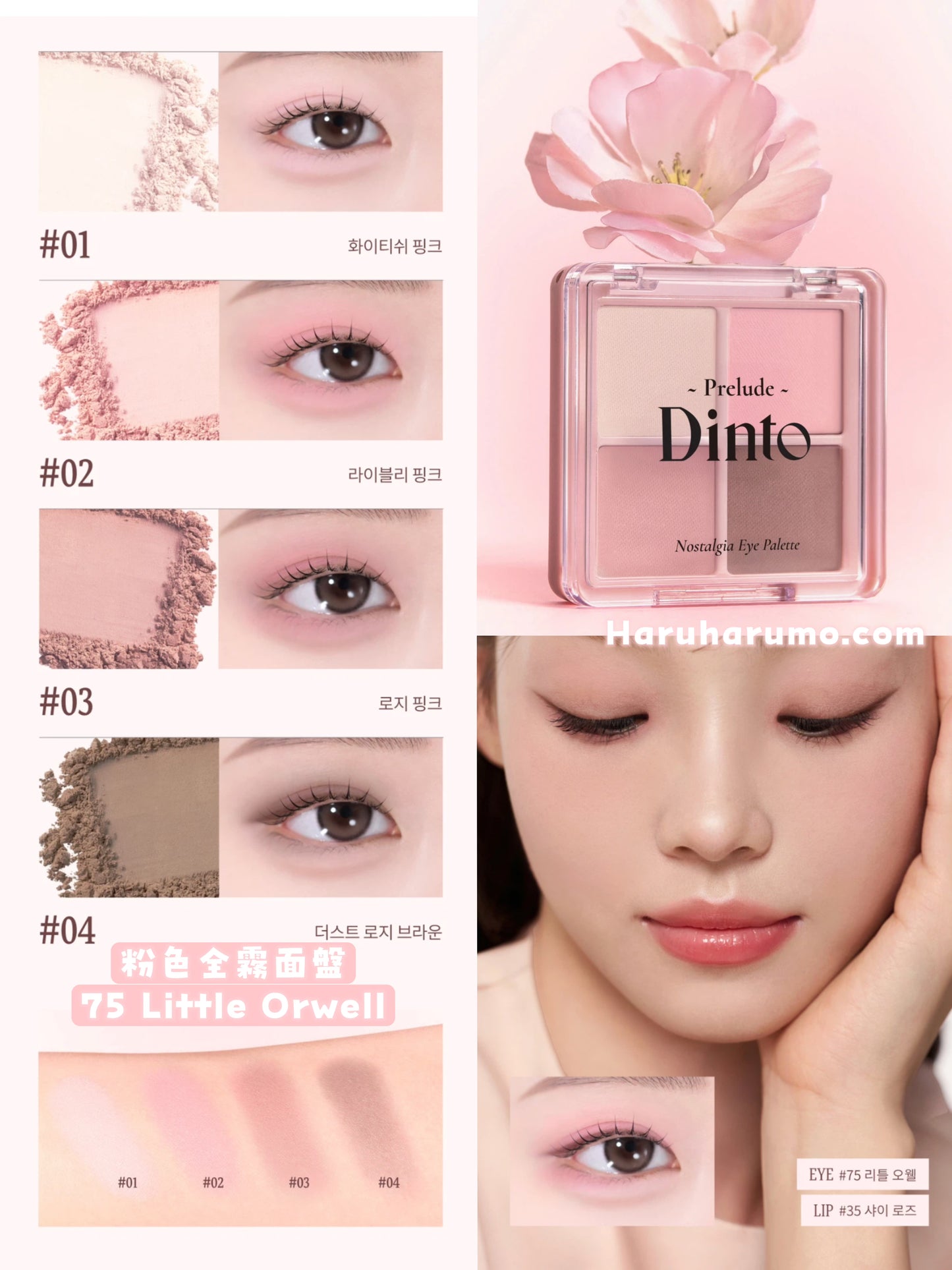 Dinto 🌸 日系四色眼影｜最新上市✨
