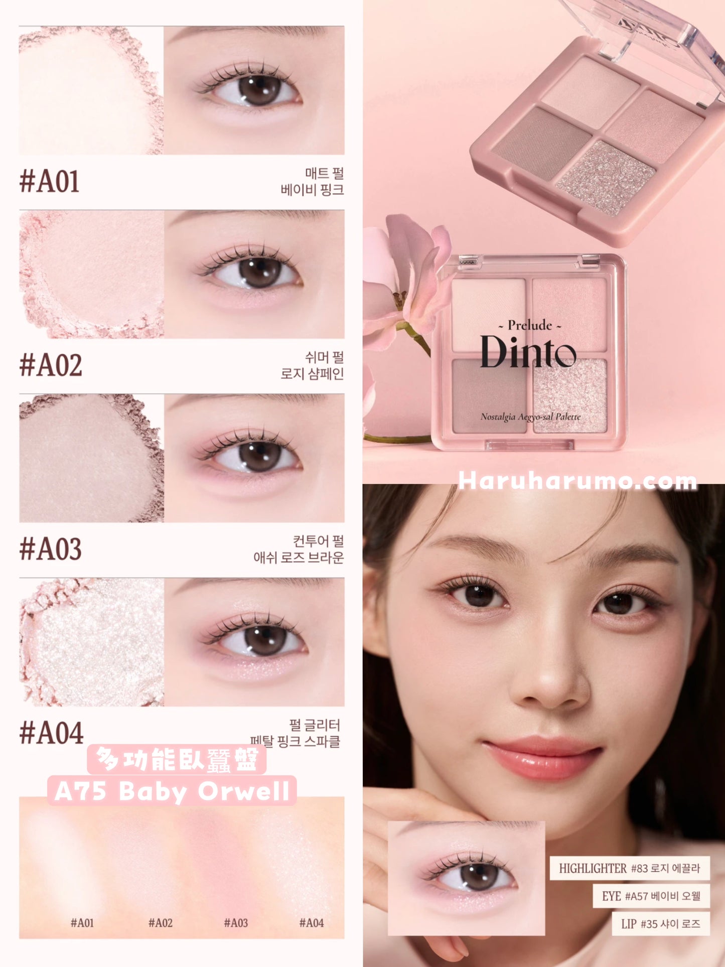 Dinto 🌸 日系四色眼影｜最新上市✨