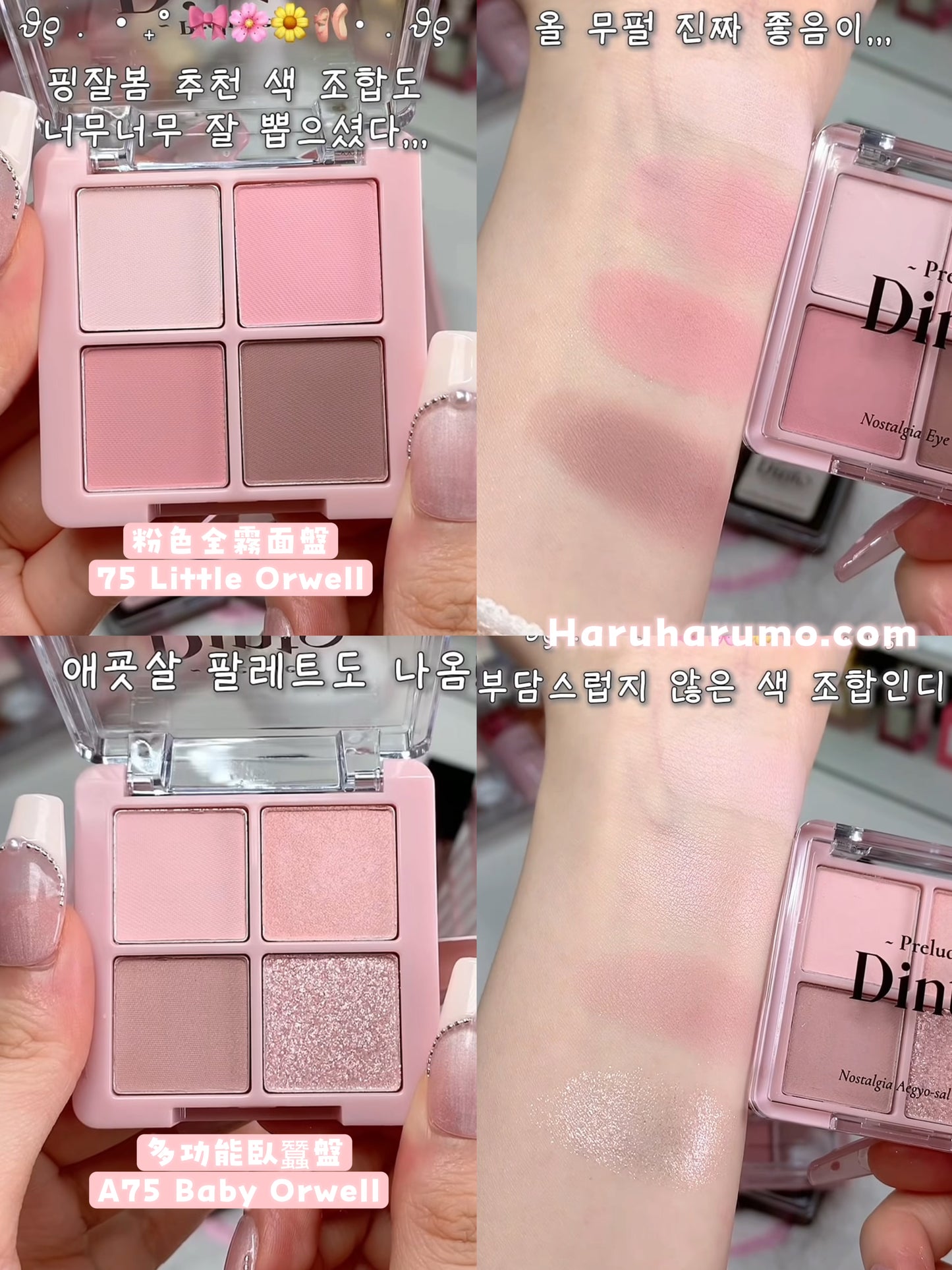 Dinto 🌸 日系四色眼影｜最新上市✨