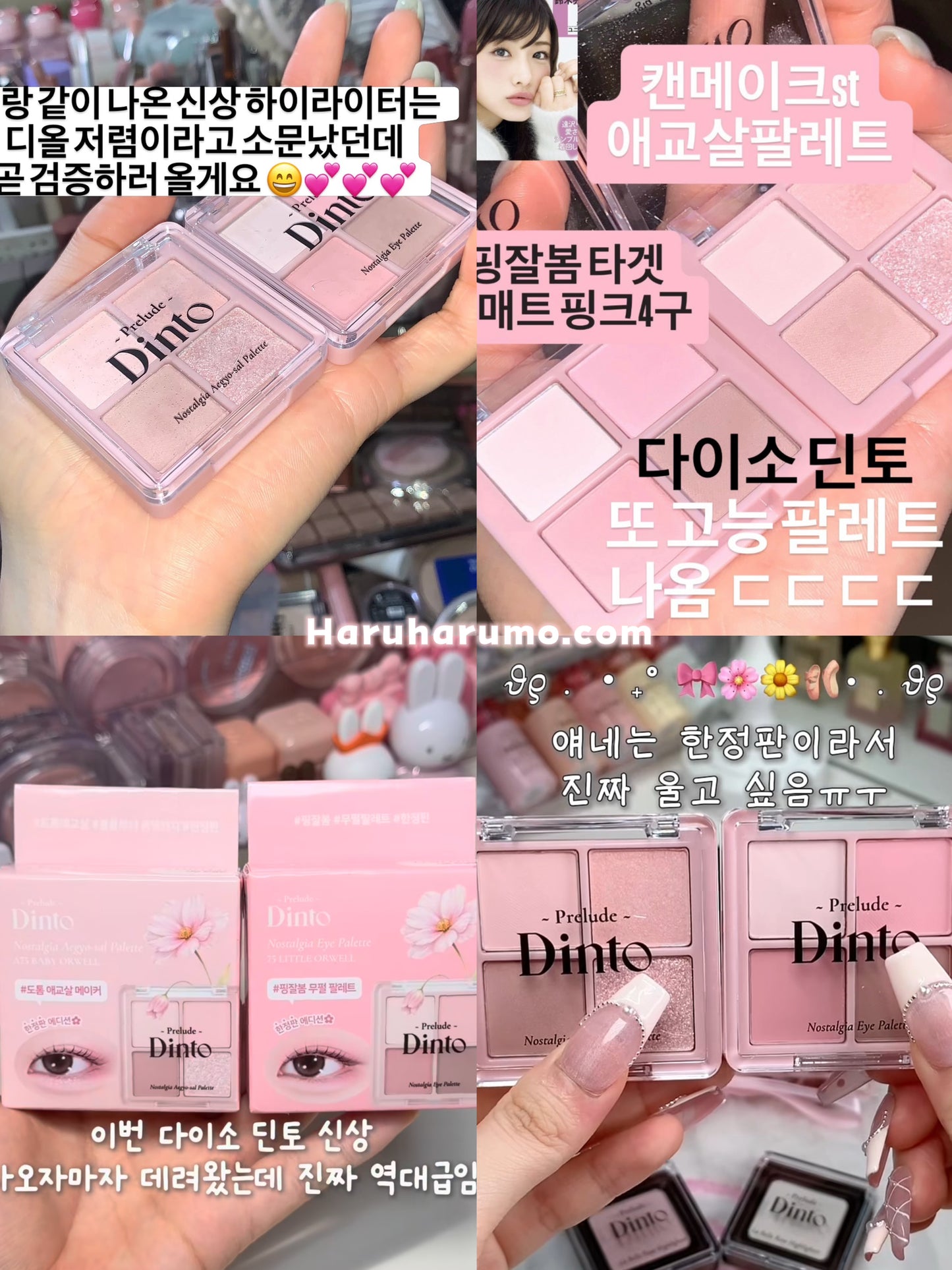 Dinto 🌸 日系四色眼影｜最新上市✨