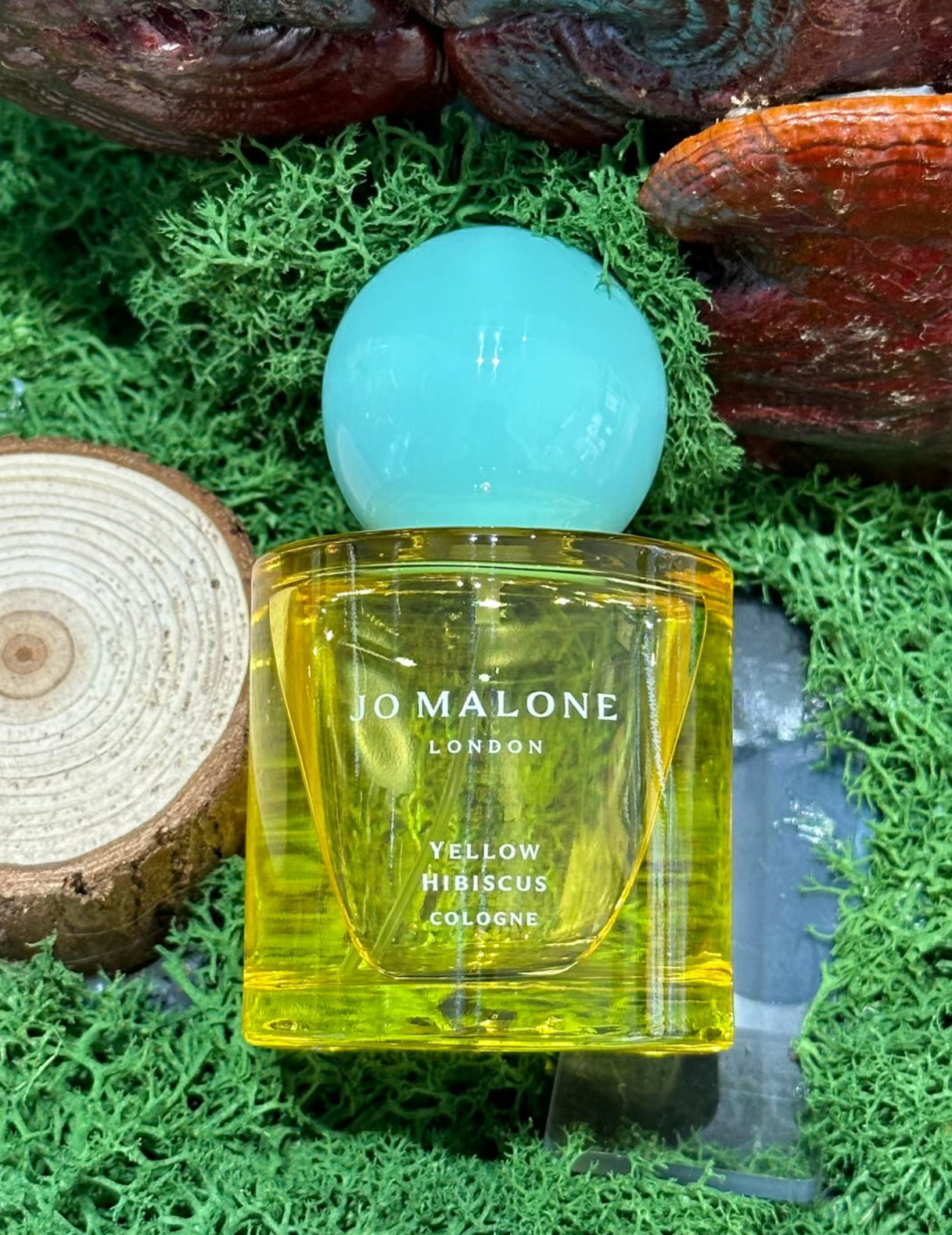 Jo Malone | 盛夏花園系列 🌼 黃扶桑花香水 50ml