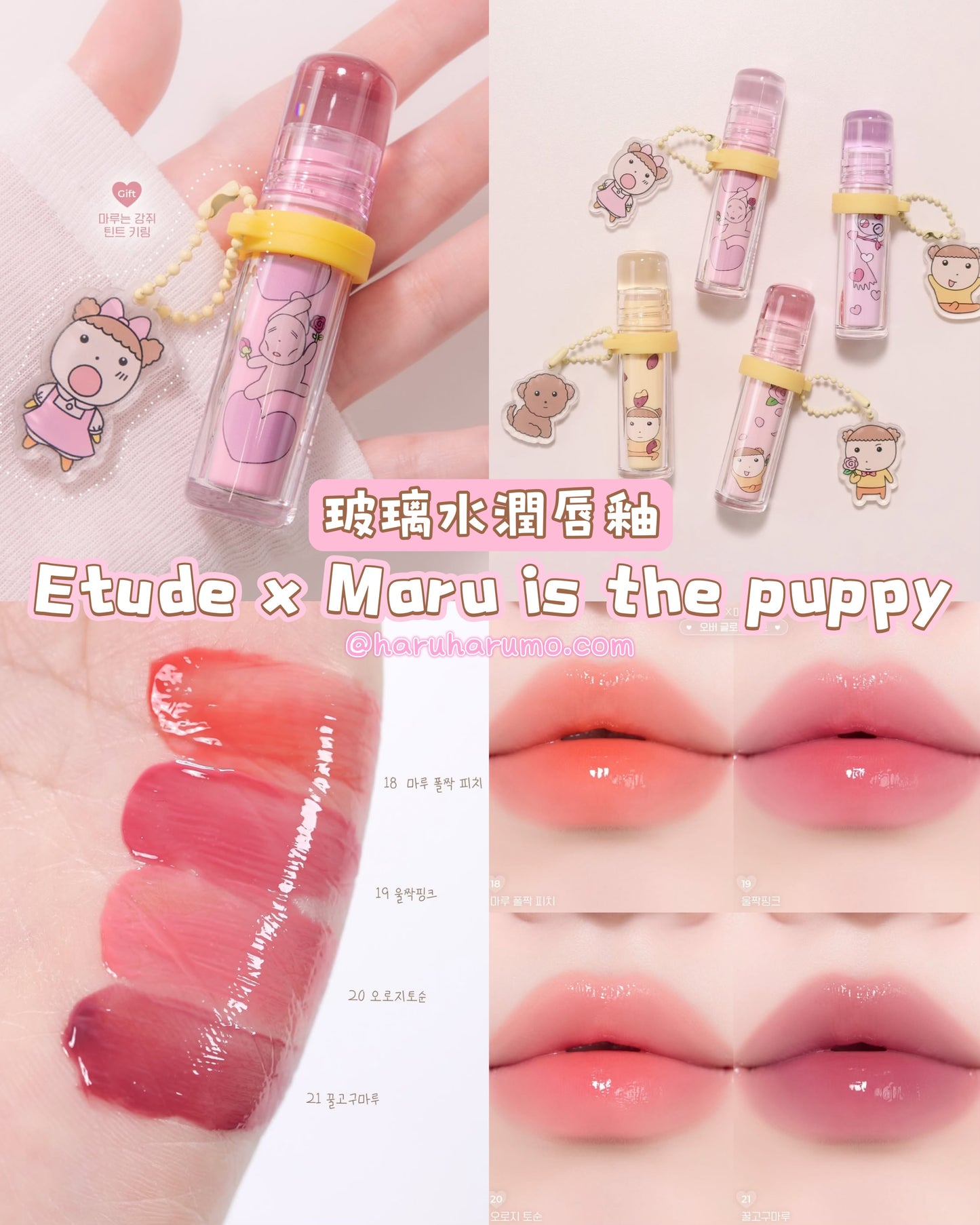 Etude x Maru is the puppy🌸夢幻聯名系列✨